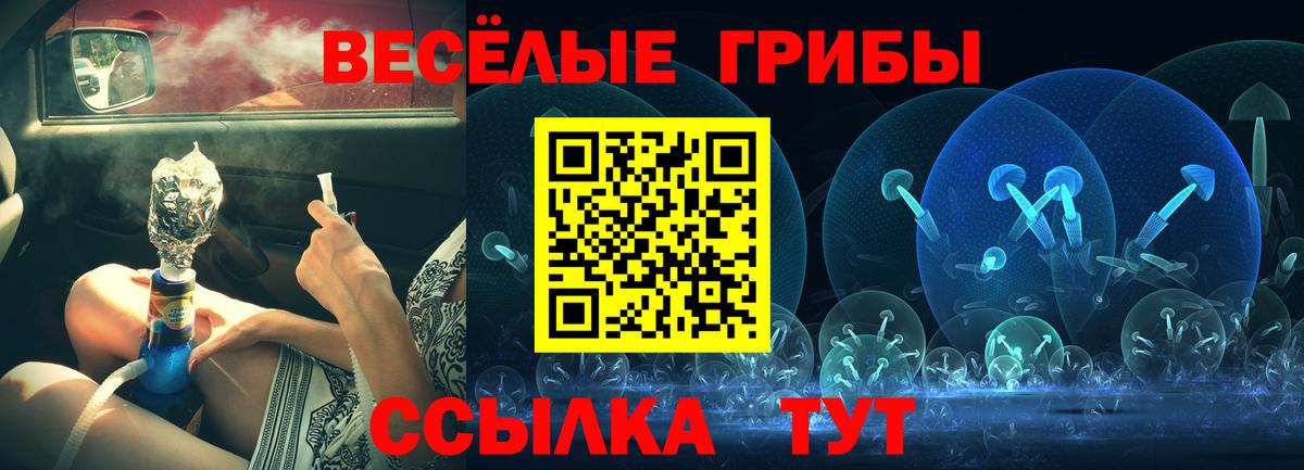 Псилоцибиновые грибы прущие грибы  Вход с VPN  Ухта 